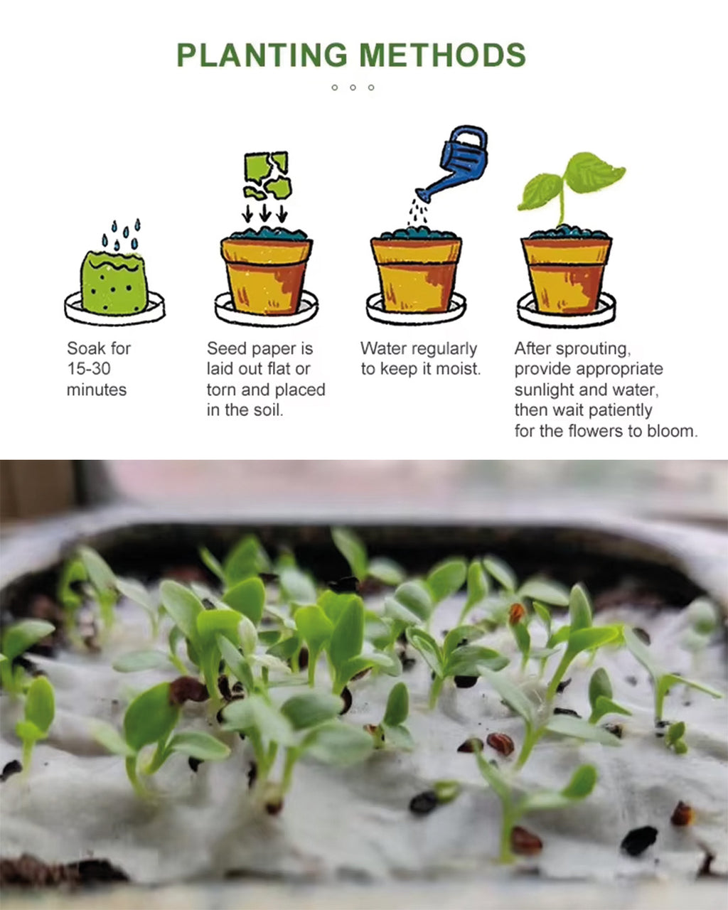 Set of Plantable Christmas Cards